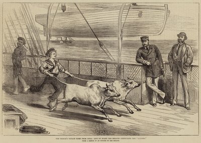 Die Heimreise des Prinzen aus Indien, Leben an Bord der Serapis, Übung der Gainees von Arthur Hopkins