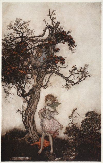 Seine Kinder waren so zerlumpt und wild, als ob sie niemandem gehörten., aus Rip Van Winkle von Washington Irving, veröffentlicht 1910 von Arthur Rackham