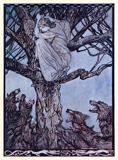 Sie schaute mit wütendem Kummer auf die angespannte und knurrende Horde unten. aus The Wooing of Becfola in Irish Fairy Tales von Arthur Rackham