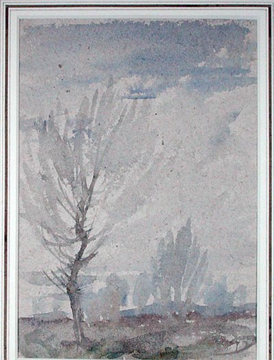 Studie eines Baumes von Arthur Rackham