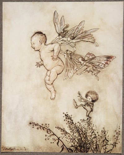 Sie kitzelten ihn alle auf der Schulter .., aus Peter Pan in Kensington Gardens von J. M. Barrie (1860 - 1937), veröffentlicht 1906 von Arthur Rackham