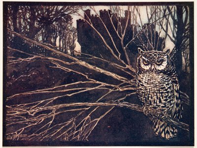 Oder eine Kreischeule, aus Die Märchen der Brüder Grimm, veröffentlicht 1909 von Arthur Rackham