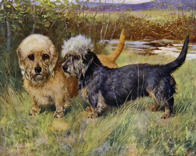 Die Dandie Dinmont Terrier, Ch Blacket House Yet, Mustard und Ch Ancrum Fanny, Pepper von Arthur Wardle