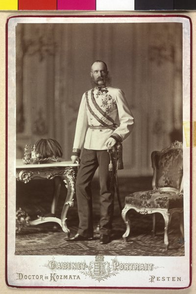 Franz Joseph I von Artist Unknown