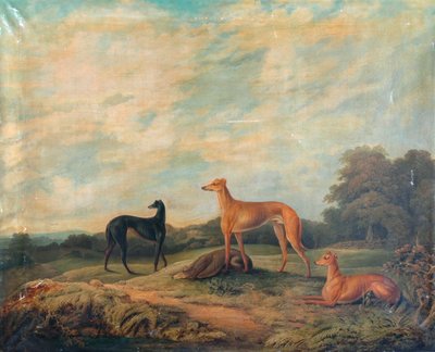 Landschaft, vier Windhunde im Vordergrund von Artist Unknown