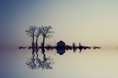 Gelassene Wasserreflexion von Asef Azimaie