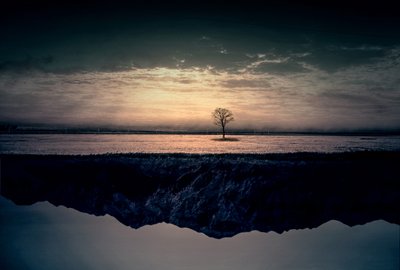 Einsamer Baum Spiegelung von Asef Azimaie