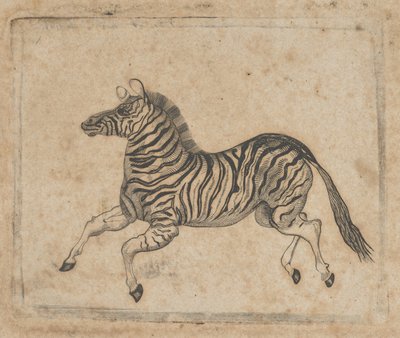 Banknoten-Vignette mit einem Zebra, ca. 1824-37 von Asher Brown Durand.
