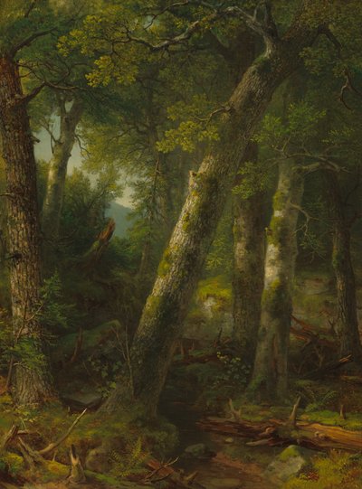 Wald im Morgenlicht von Asher Brown Durand