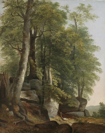 Landschaft mit Felsen und Bäumen von Asher Brown Durand