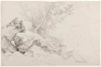 Studie von Felsen mit Bäumen, Hague, Lake George, New York, 1862 von Asher Brown Durand