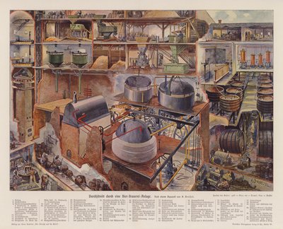 Querschnitt einer Brauerei von August (after) Dressel