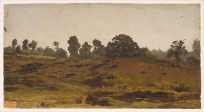 Ansicht eines Feldes von Auguste Francois Bonheur
