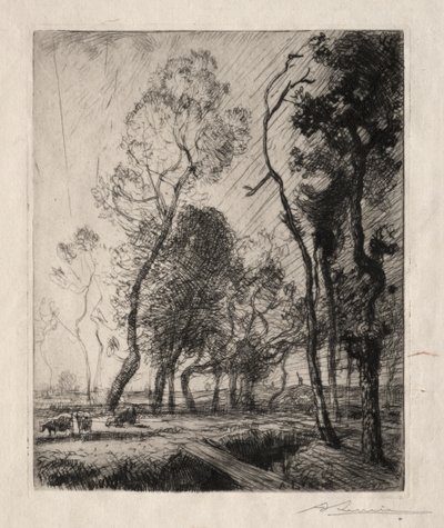 Sonnenuntergang hinter den Bäumen, 1909 von Auguste Louis Lepère