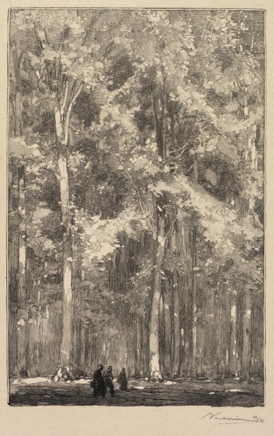 Fontainebleau-Wald: Morgen, Kreuzung der Route der Forts de Marlotte (La Forêt de Fontainebleau: Le Matin, Carrefour des Fort de Marlotte) von Auguste Louis Lepère