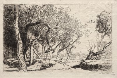Der verdrehte Baum von Auguste Louis Lepère