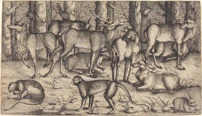 Hirsche im Wald von Augustin Hirschvogel