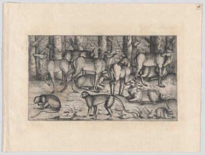Hirsche im Wald, 1545 von Augustin Hirschvogel