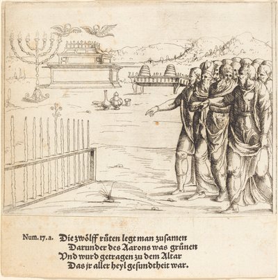 Das Blühen von Aarons Stab von Augustin Hirschvogel