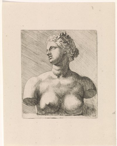 Büste der Venus de