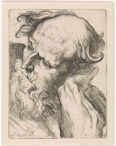 Kopf eines alten Mannes (Josef) von Augustinus Terwesten (I)