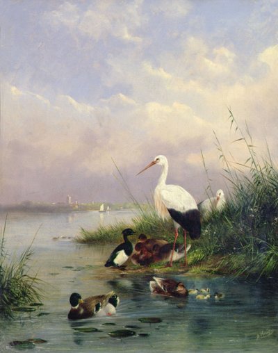 Eine Familie von Stockenten, zwei Störche und eine Familie von Reiherenten von Augustus Knip
