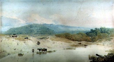 Ansicht in Yorkshire, Fluss und Vieh von Augustus Wall Callcott