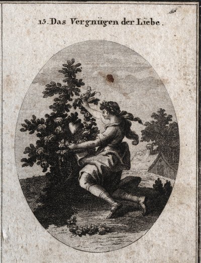 Allegorie der Liebeszufriedenheit von Austrian School