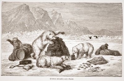 Eisbären greifen unser Gepäck an, veröffentlicht in Wien 1876 von Austrian School