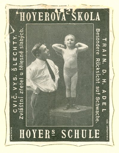 Hoyers Schule von Austrian School