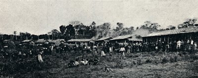Colonia Italiana Fazenda Arindiuba, 1895 von Axel Frick
