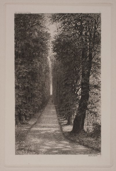 Sukkenes allé von Axel Holm