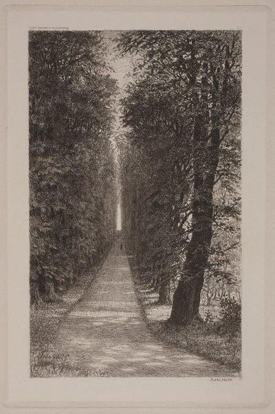 Sukkenes allé von Axel Holm