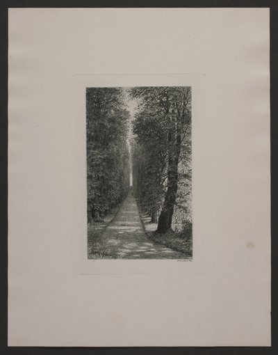 Sukkenes allé von Axel Holm