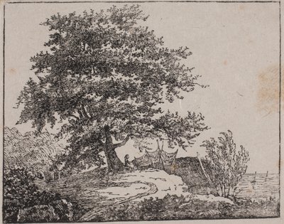 Baum auf einem Abhang am Meer von Axel Theodor Kittendorff