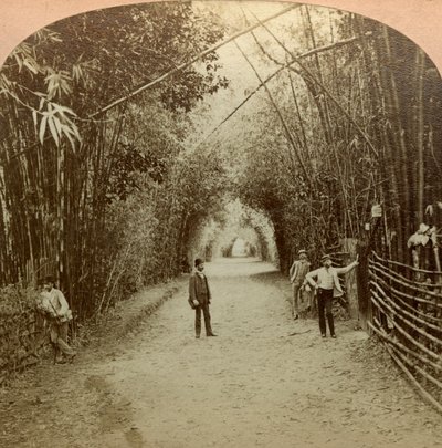 Der Mardyke, Cork, Irland von B. W. Kilburn
