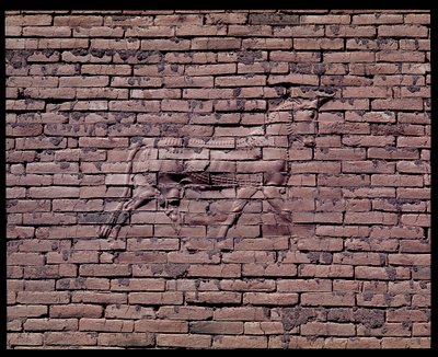 Detail eines Stiers, Relief des Ischtar-Tores, 580 v. Chr. von Babylonian