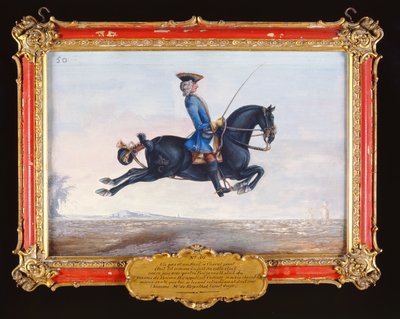 Ein rabenschwarzes Pferd namens Curioso bei einer Dressurbewegung namens Capriole von Baron Reis Eisenberg