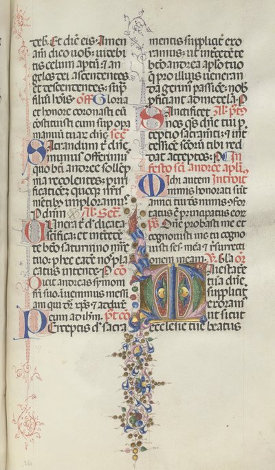 Missale: Fol. 260: Laubwerk mit Früchten von Bartolomeo Caporali