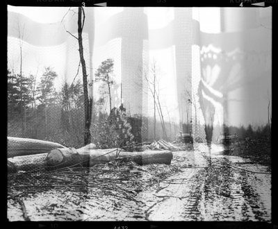 Waldschmetterlings-Overlay von Beata Brząkalik-Gburek
