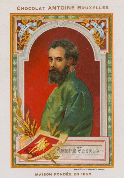 Andreas Vesalius, flämischer Anatom und Arzt des 16. Jahrhunderts von Belgian School