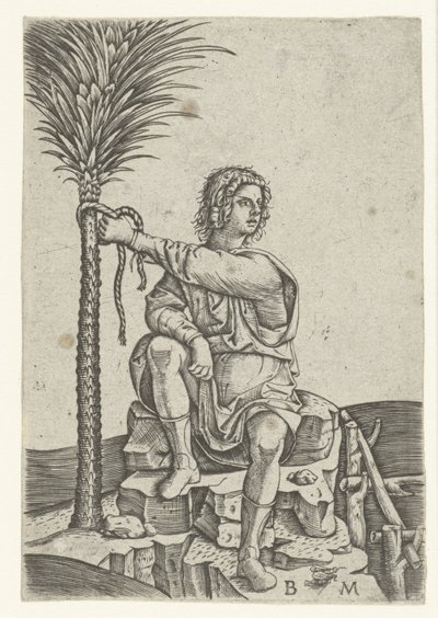Mann sitzt bei einer Palme von Benedetto Montagna