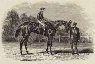 Nancy, Gewinnerin des Goodwood Cups, 1851 von Benjamin Herring