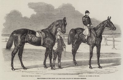 Die Gewinner des Derbys und der Oaks von Benjamin Herring