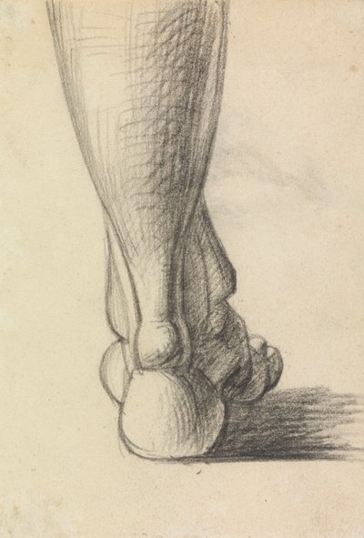 Anatomische Studie der Ferse eines Fußes von Benjamin Robert Haydon