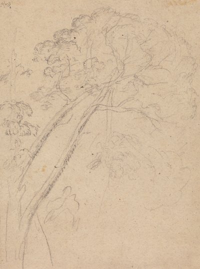 Kostümstudie für das Porträt einer Dame von Benjamin West
