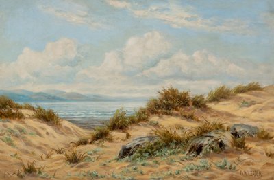 Sanddünen am Conwy von Benjamin Williams Leader