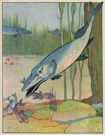 Fische von Benjamin Rabier