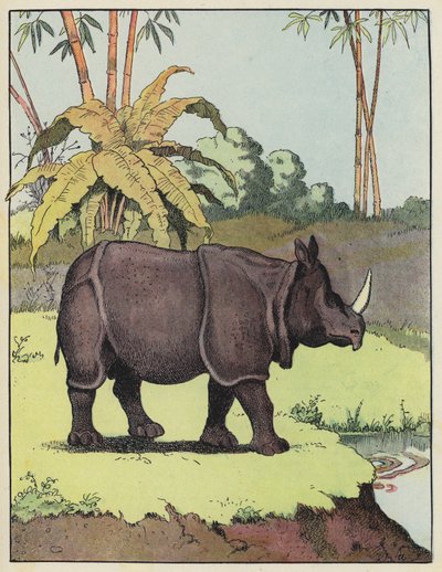 Indisches Nashorn von Benjamin Rabier