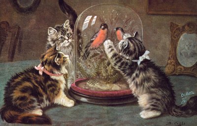 Katzenpostkarte von Bernard Cobbe